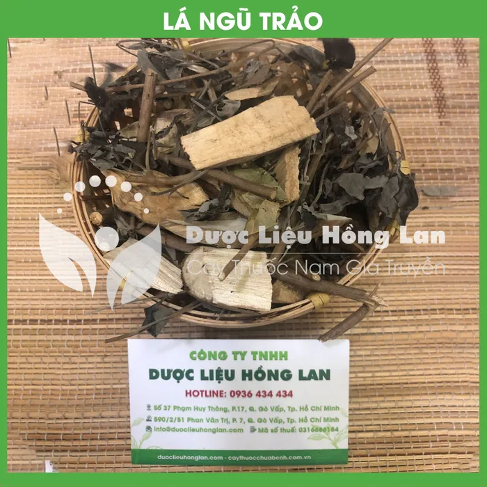 Lá cây ngũ trảo 1