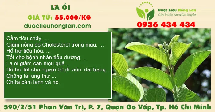 Lá ổi