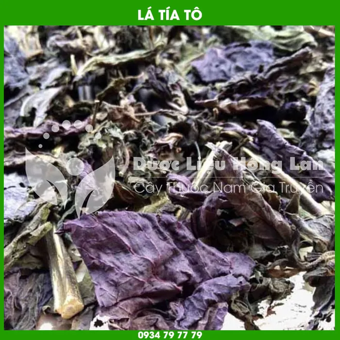 Lá Tía Tô 2