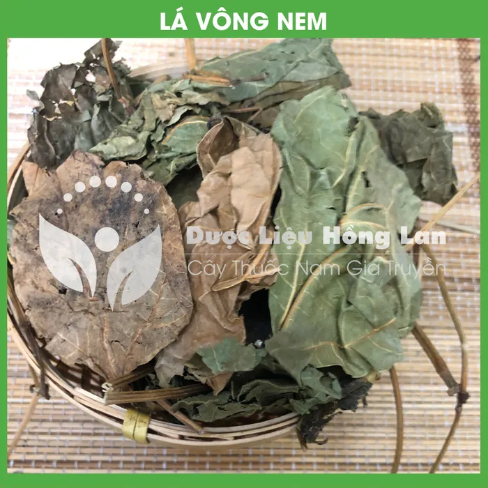 Lá Vông nem khô 3