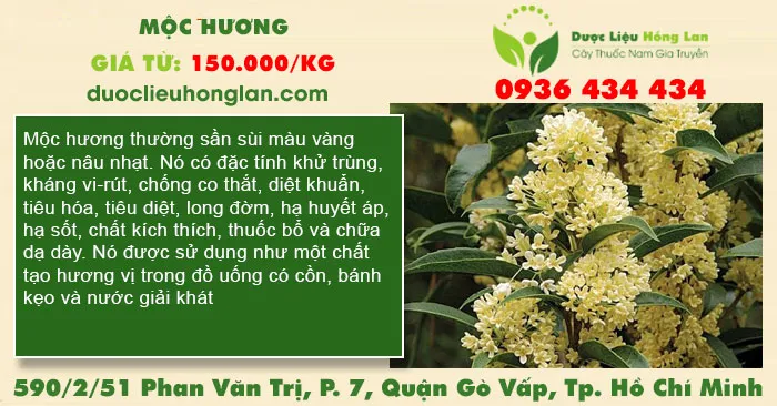 Mộc Hương