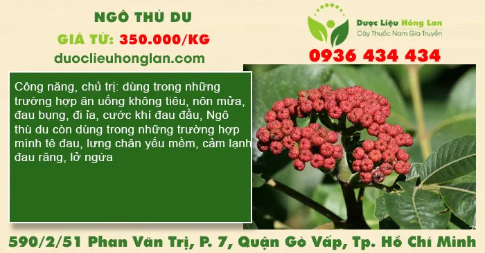 Ngô thù du