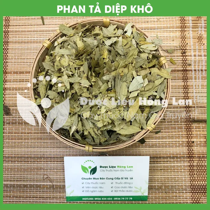 Cây Phan tả diệp 2