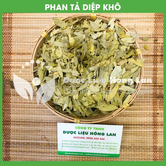 Cây Phan tả diệp 1