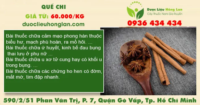 Quế chi