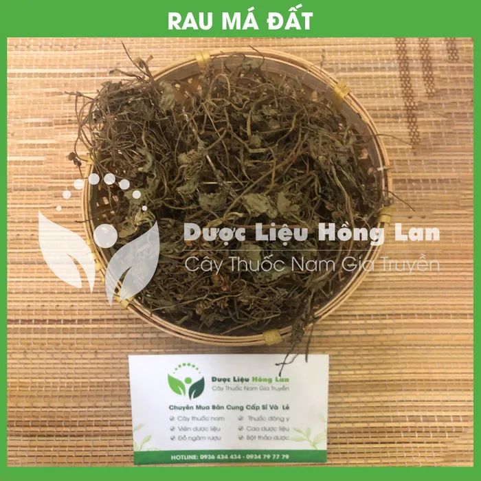 Cây Rau Má 2