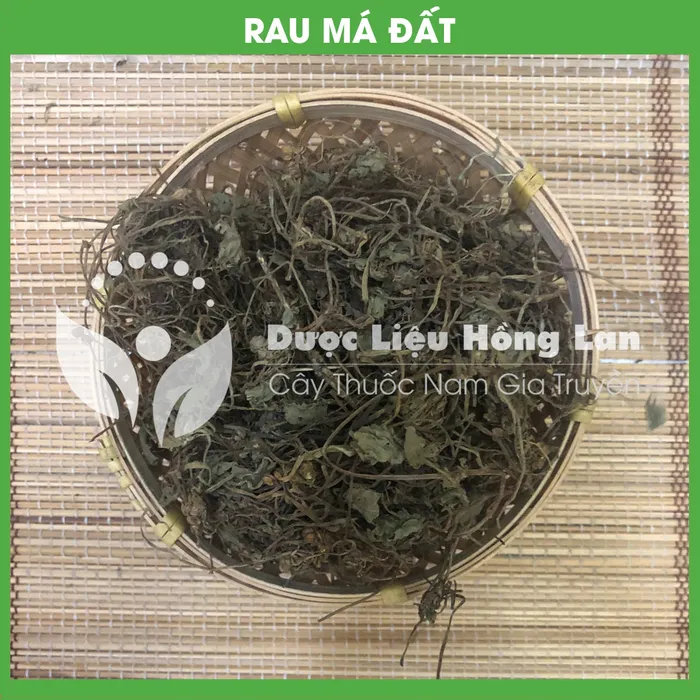 Cây Rau Má 3