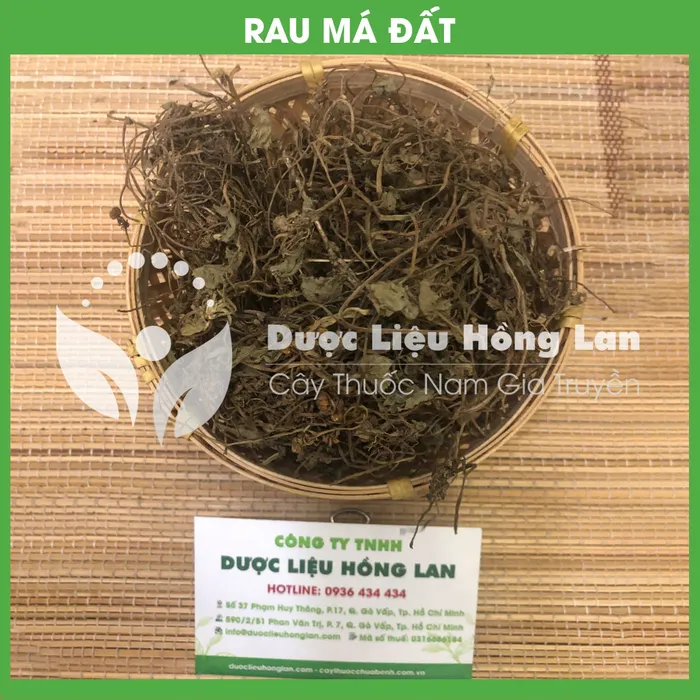Cây Rau Má 1