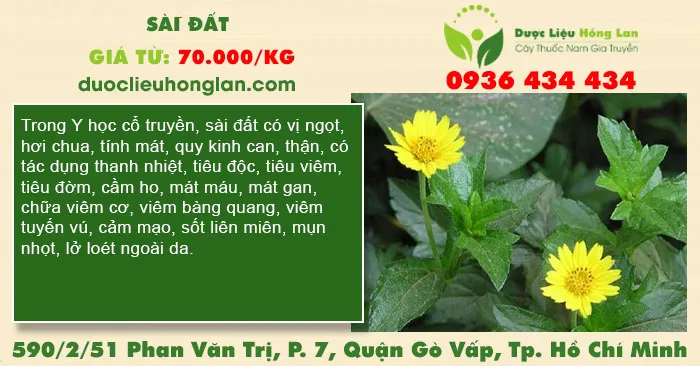 Sài Đất
