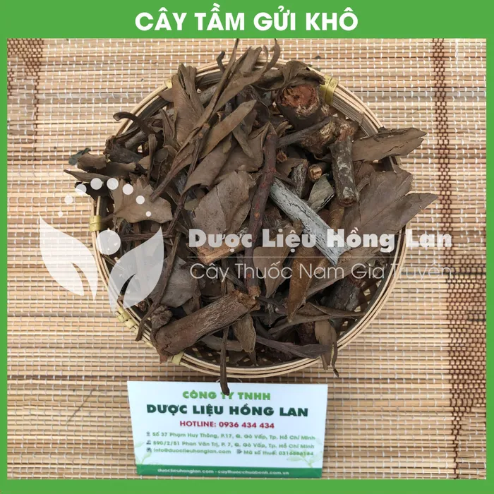 Tầm Gửi 1