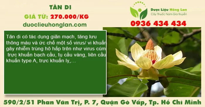 Tân di