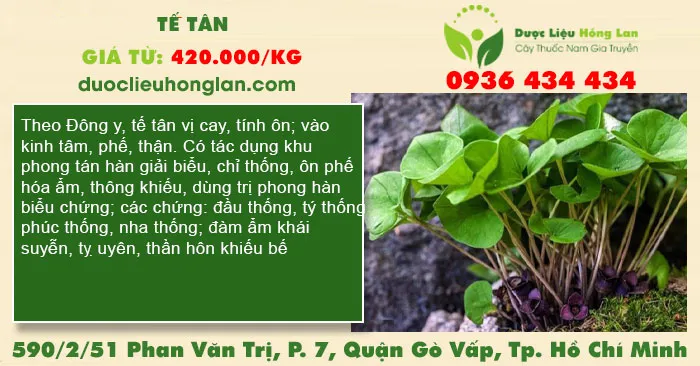Tế Tân
