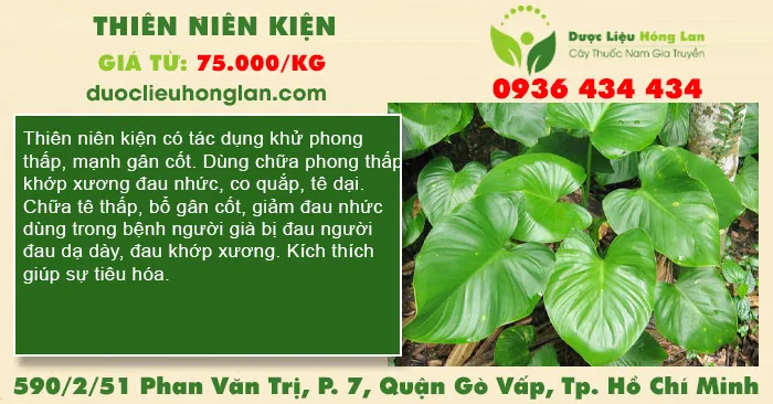 Thiên Niên Kiện