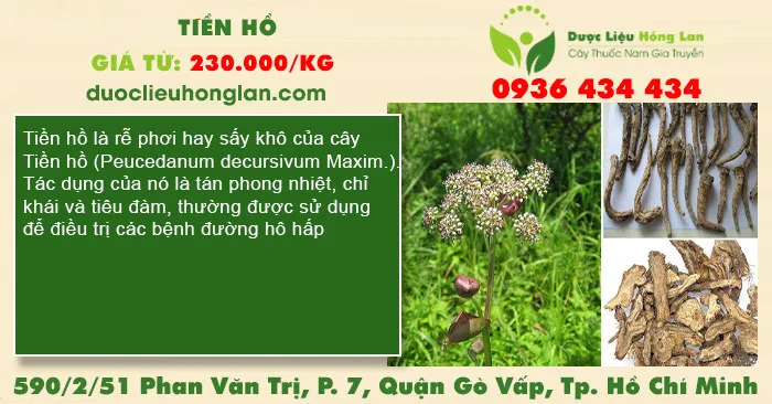 Tiền hồ
