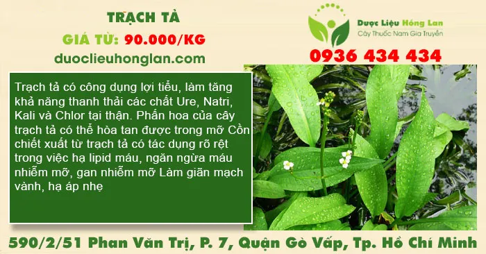 Trạch tả