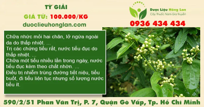 Tỳ Giải
