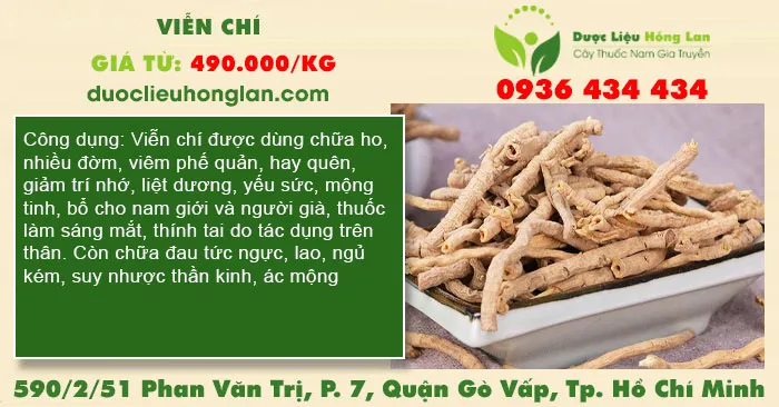 Viễn Chí
