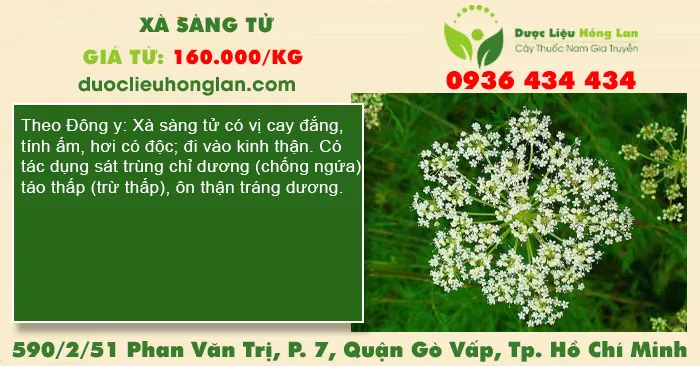 Xà sàng tử