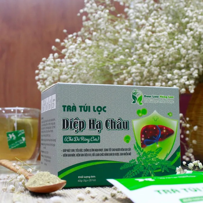 Trà Túi Lọc Cây Chó Đẻ (Cây Diệp Hạ Châu) 4