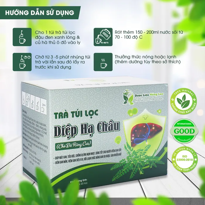 Trà Túi Lọc Cây Chó Đẻ (Cây Diệp Hạ Châu) 3
