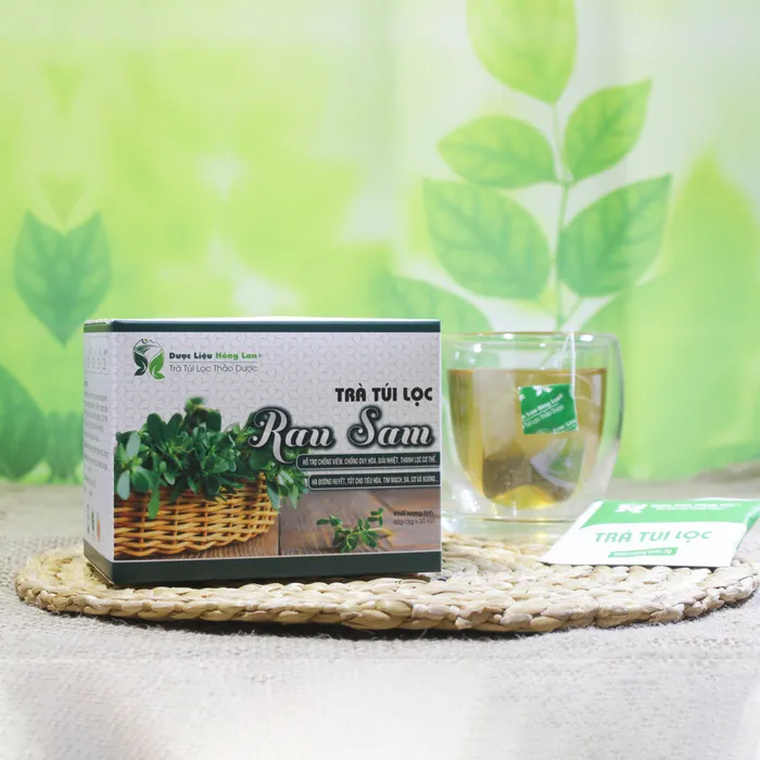 Trà Túi Lọc Cây Rau Sam 4
