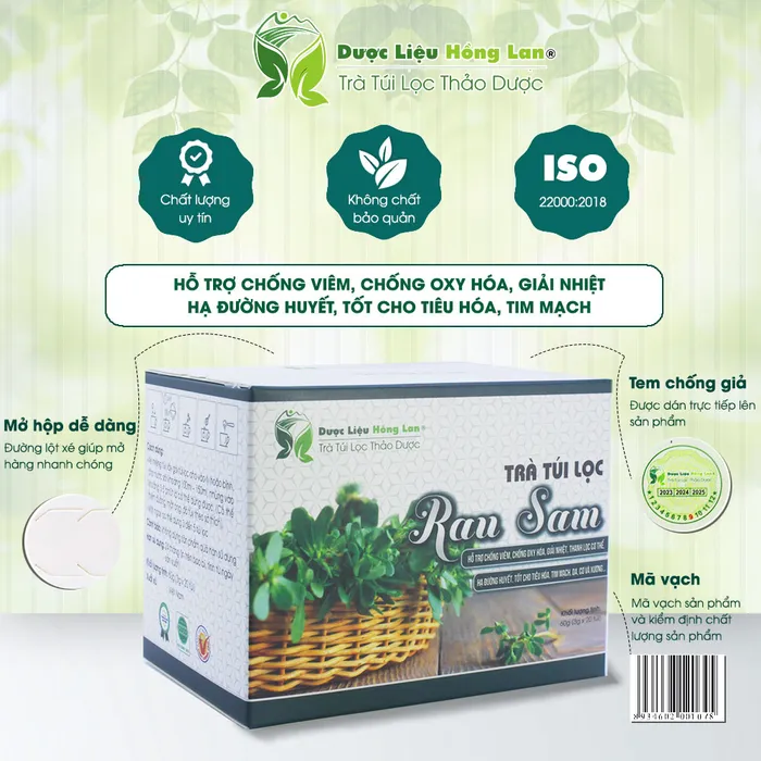 Trà Túi Lọc Cây Rau Sam