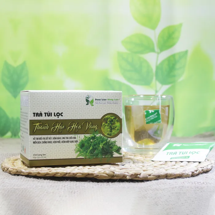 Trà Túi Lọc Cây Thanh Hao Hoa Vàng 4