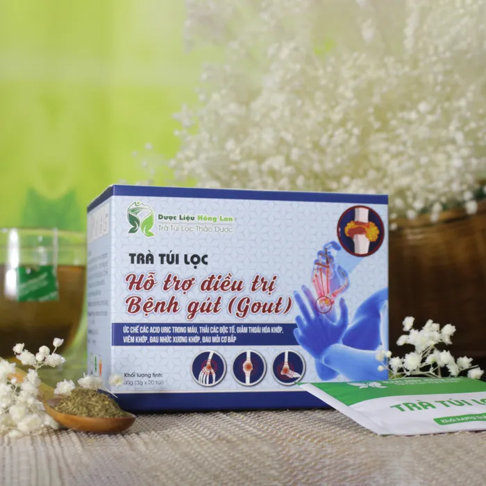 Trà Túi Lọc Điều Trị Bệnh Gút (Gout) 3