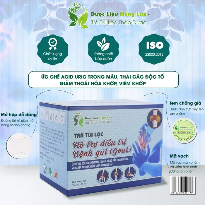 Trà Túi Lọc Điều Trị Bệnh Gút (Gout)