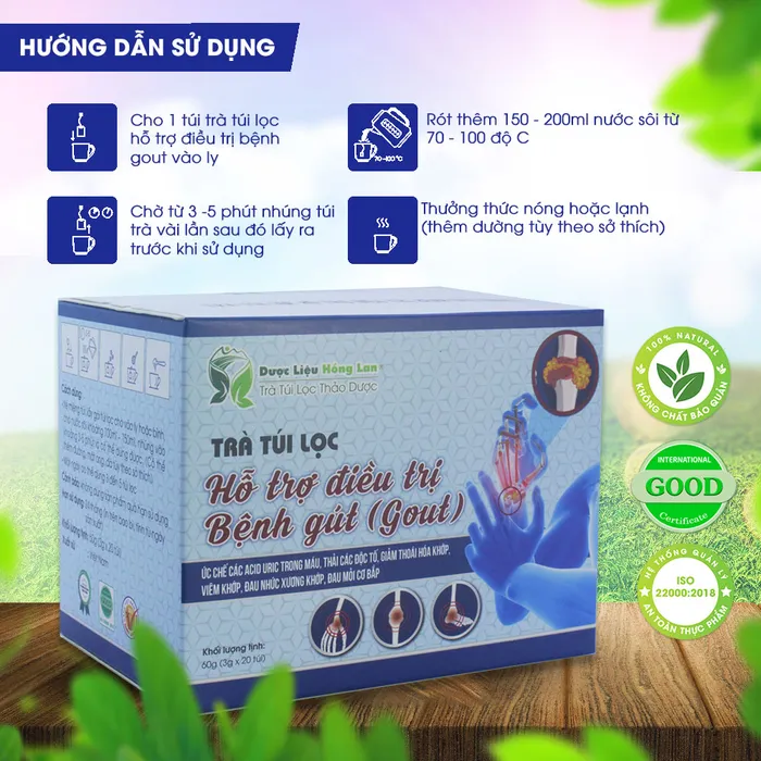 Trà Túi Lọc Điều Trị Bệnh Gút (Gout) 5