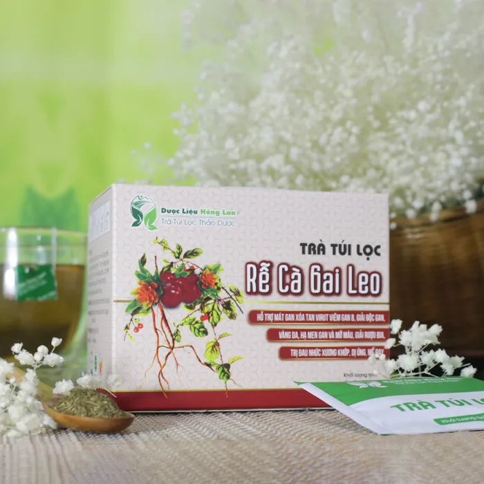 Trà Túi Lọc Rễ Cà Gai Leo 5