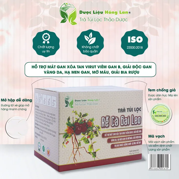 Trà Túi Lọc Rễ Cà Gai Leo