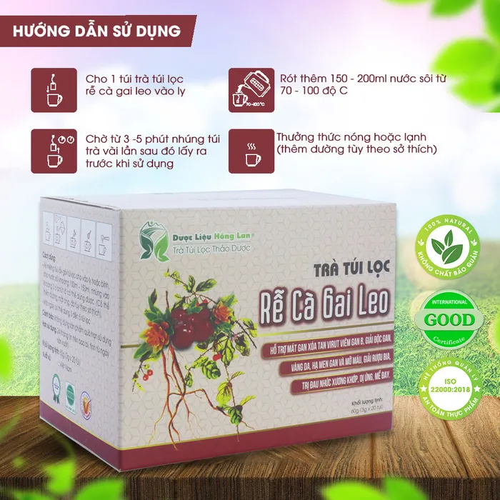 Trà Túi Lọc Rễ Cà Gai Leo 4