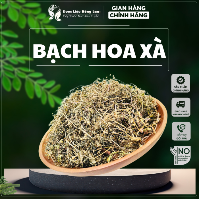 Cây Bạch Hoa Xà Thiệt Thảo 3