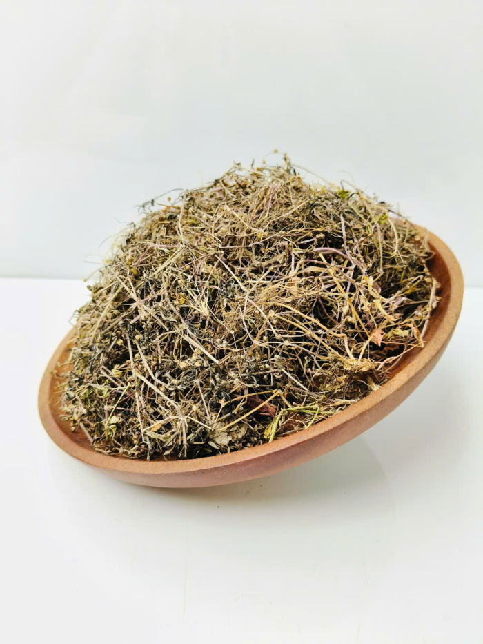 Cây Bạch Hoa Xà Thiệt Thảo 2